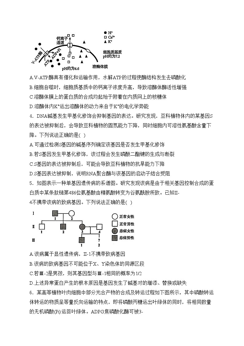 山东省青岛市2025届高三上学期9月期初调研检生物试卷(含答案)第2页