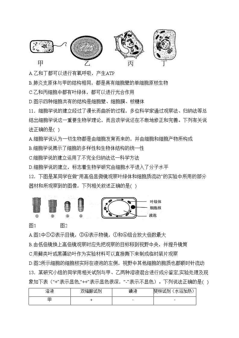 武安市第一中学2024-2025学年高一上学期9月月考生物试卷(含答案)第3页