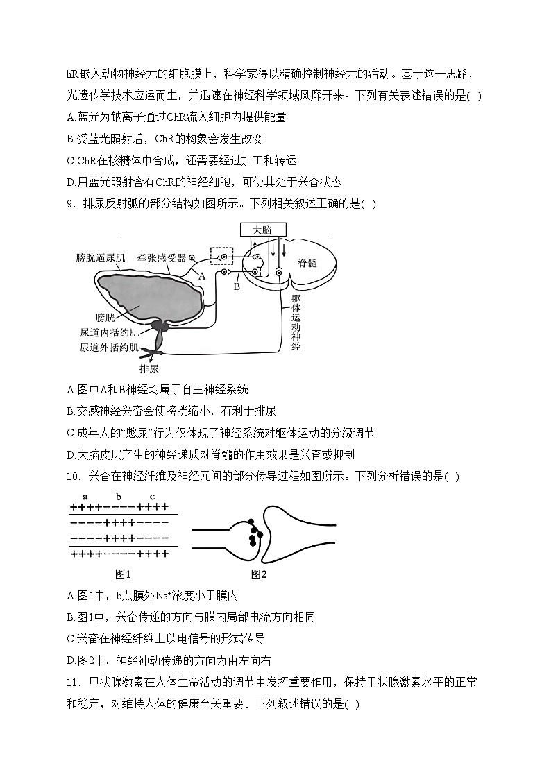 枣庄市第一中学2024-2025学年高二上学期10月质量检测生物试卷(含答案)第3页