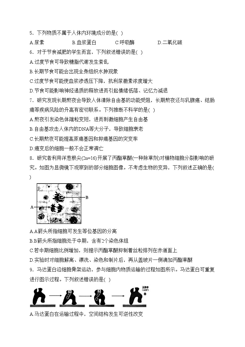 浙江省杭州市周边重点中学四校联考2024-2025学年高二上学期10月月考生物试卷(含答案)第2页