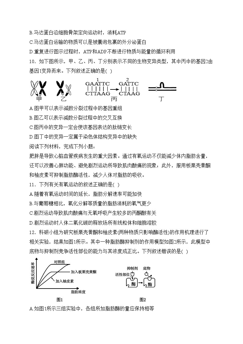 浙江省杭州市周边重点中学四校联考2024-2025学年高二上学期10月月考生物试卷(含答案)第3页