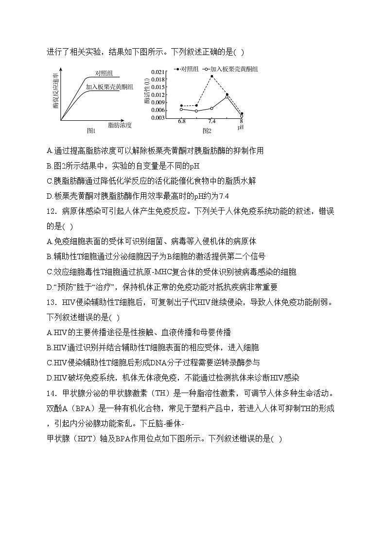 浙江省丽水市五校2024-2025学年高二上学期10月联考生物试卷(含答案)第3页