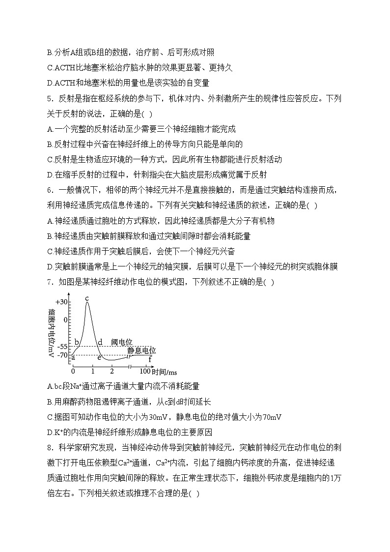 邹城市第一中学2024-2025学年高二上学期10月月考生物试卷(含答案)第2页