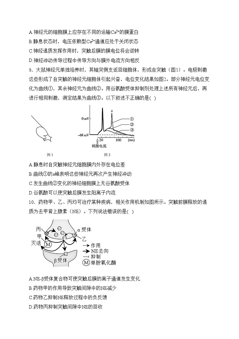 邹城市第一中学2024-2025学年高二上学期10月月考生物试卷(含答案)第3页