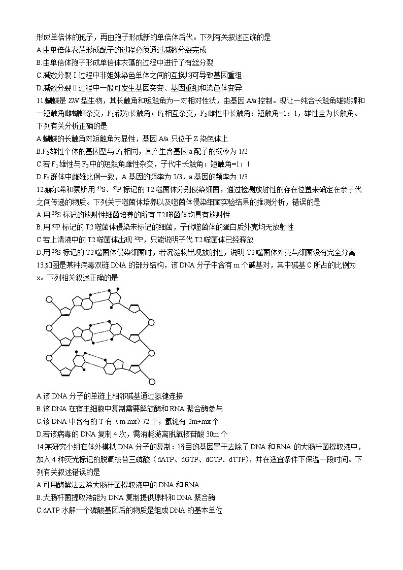 河南省许平汝名校2024-2025学年高三上学期10月期中考试生物试题第3页
