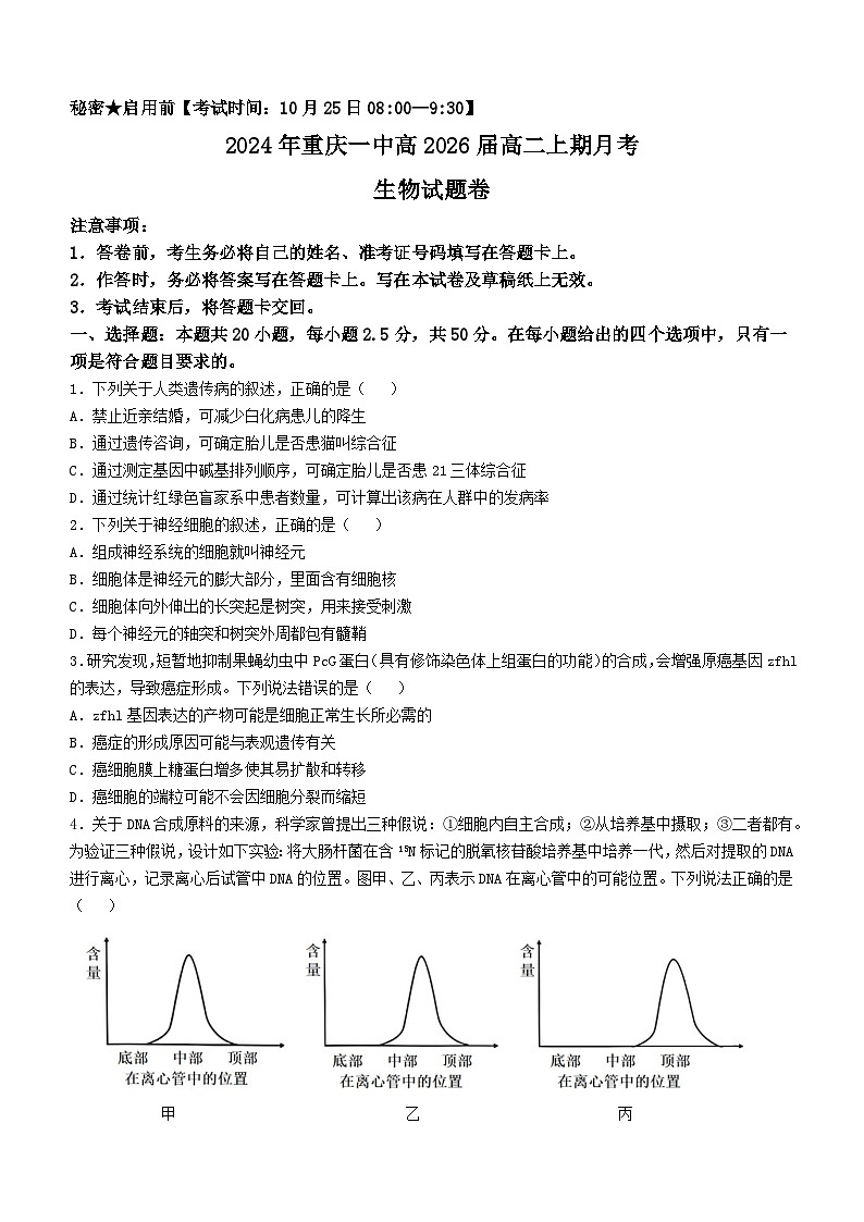 重庆市第一中学校2024-2025学年高二上学期10月月考生物试题01