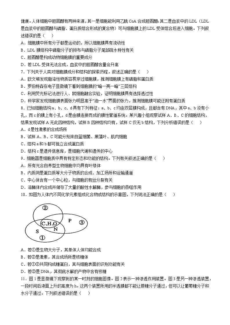 吉林省吉林市松花江中学2024-2025学年高一上学期期中考试生物试题(无答案)第2页