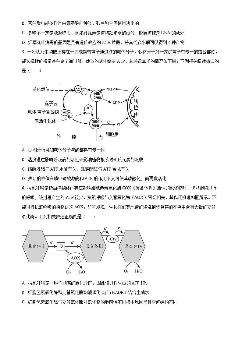安徽省六安市第二中学2024-2025学年高三上学期10月月考生物第2页