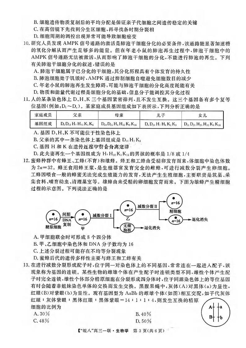 生物丨安徽省“皖南八校”2025届高三10月第一次大联考生物试卷及答案第3页