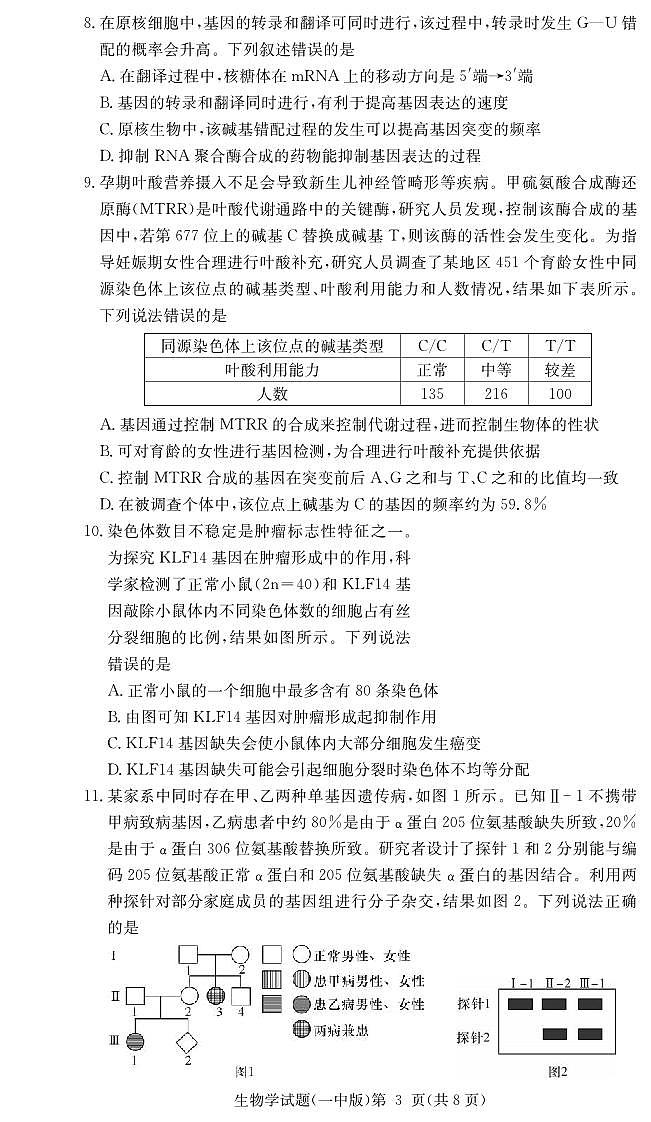 生物丨湖南省长沙市第一中学2025届高三10月月考卷（二）生物试卷及答案第3页