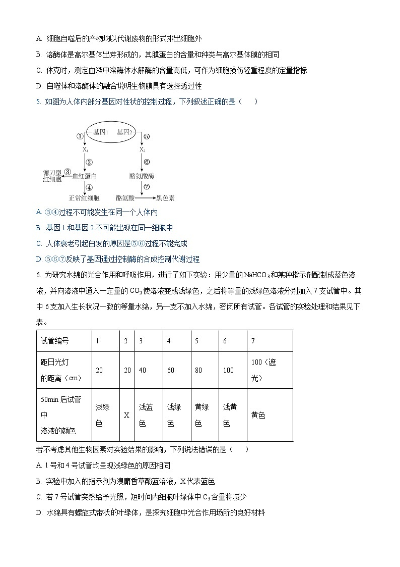 山东省聊城市临清市实验高级中学2024-2025学年高三上学期10月期中生物试题02