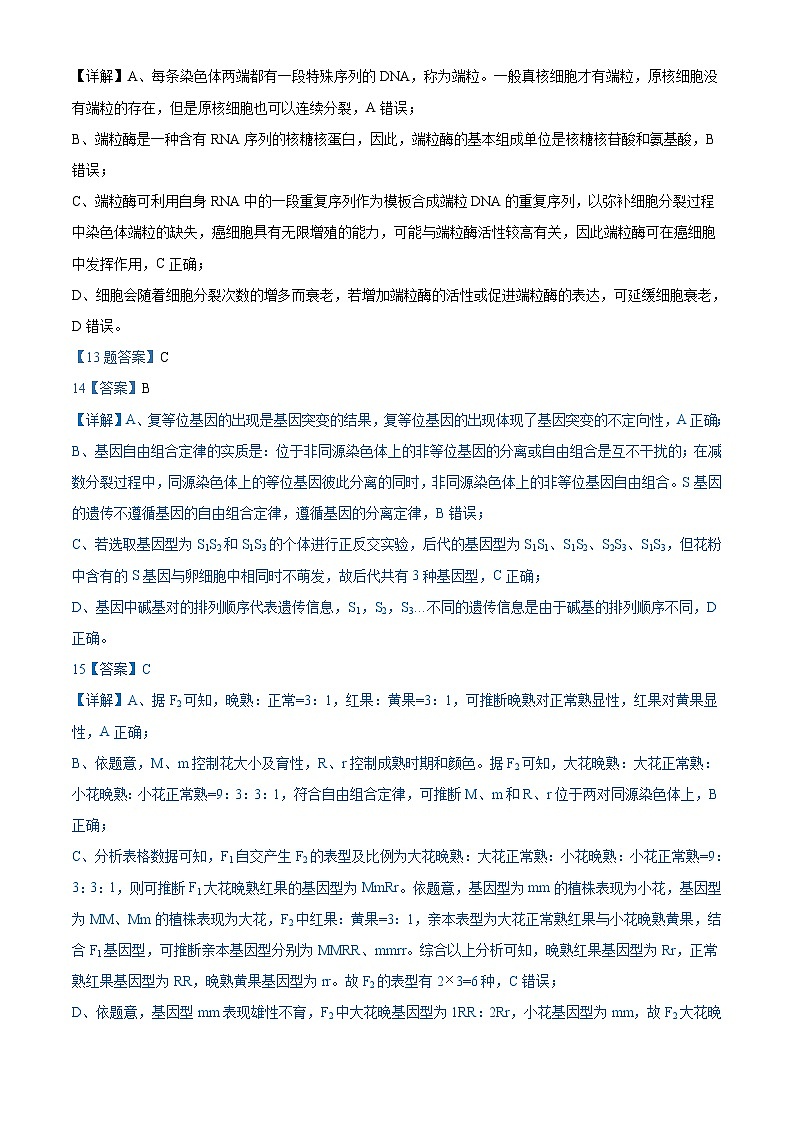 山东省聊城市临清市实验高级中学2024-2025学年高三上学期10月期中生物试题02