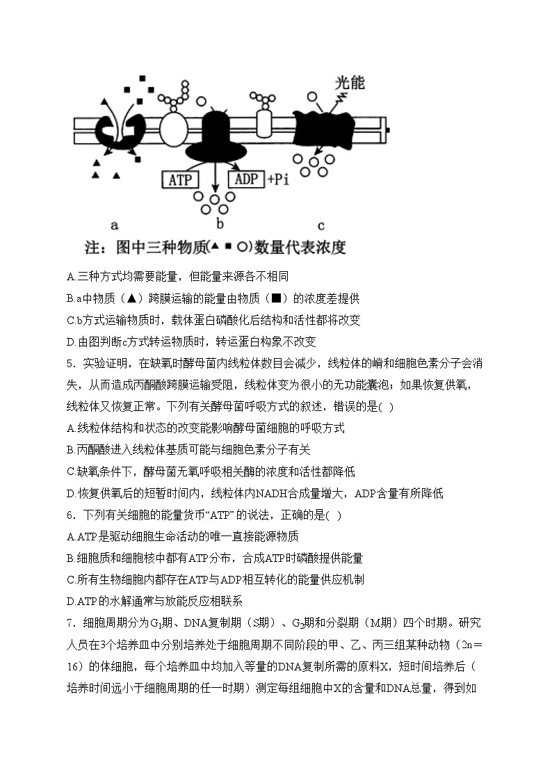 安徽省皖南八校2025届高三第一次联考（一模）生物试卷(含答案)第2页