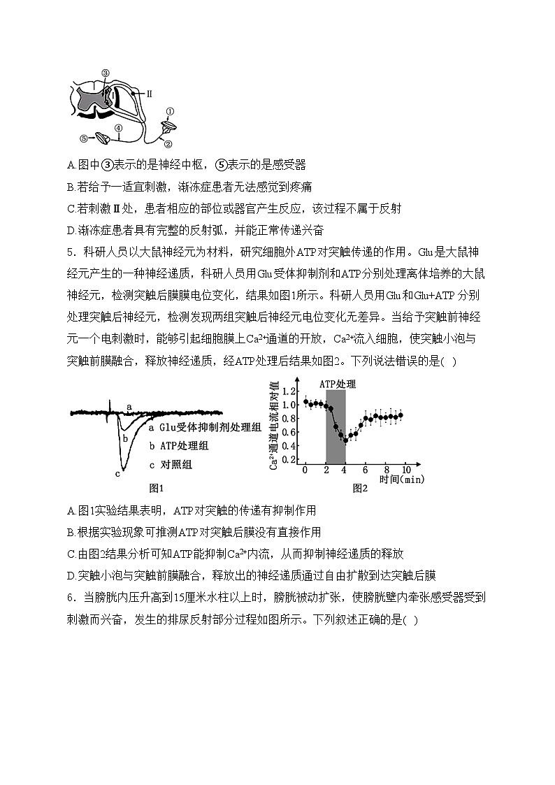 阜阳市第三中学2024-2025学年高二上学期第一次调研考试生物试卷(含答案)第2页