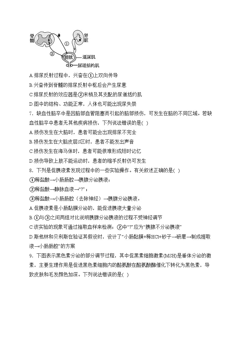 阜阳市第三中学2024-2025学年高二上学期第一次调研考试生物试卷(含答案)第3页