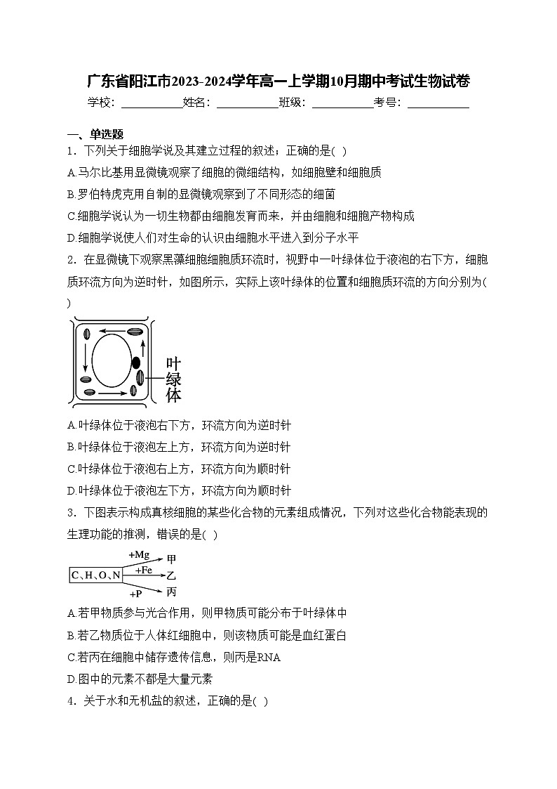 广东省阳江市2023-2024学年高一上学期10月期中考试生物试卷(含答案)第1页