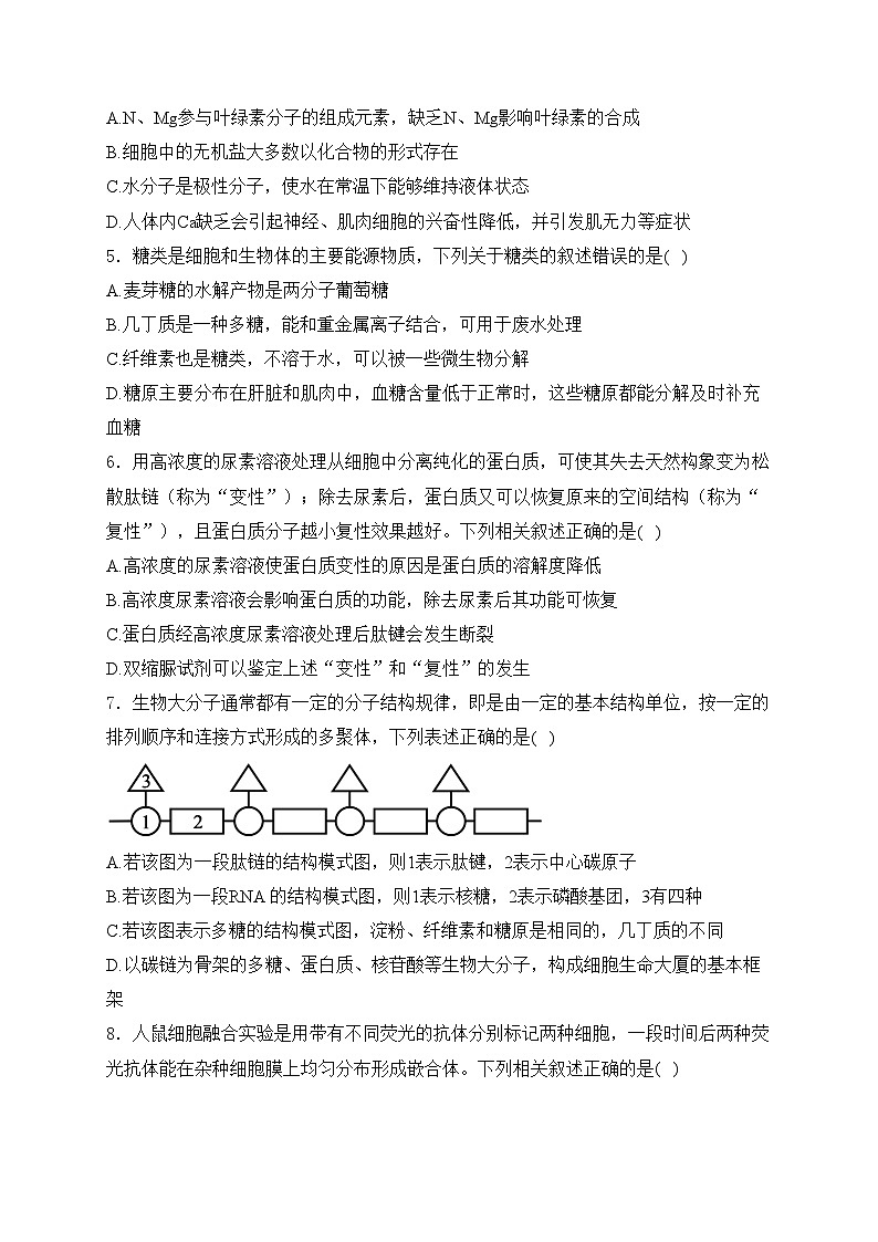 广东省阳江市2023-2024学年高一上学期10月期中考试生物试卷(含答案)第2页