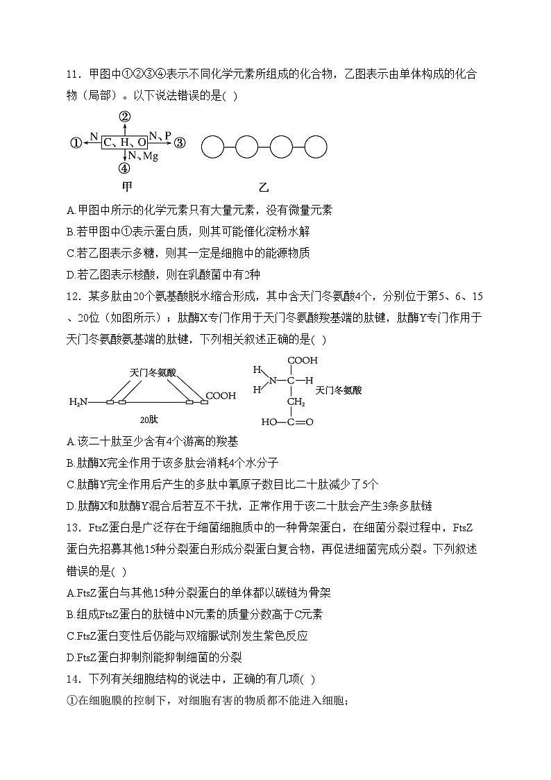 湖北宜荆荆随2023-2024学年高一上学期期中联考生物试卷(含答案)第3页