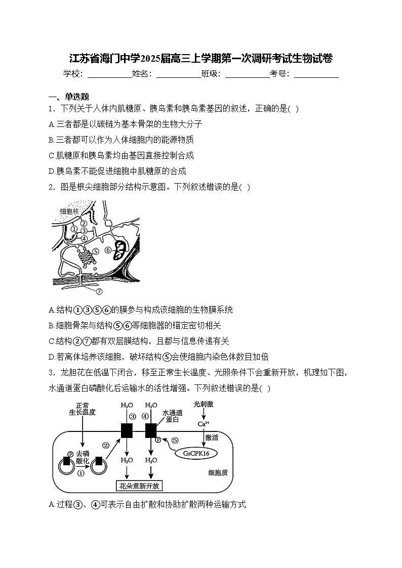 江苏省海门中学2025届高三上学期第一次调研考试生物试卷(含答案)第1页