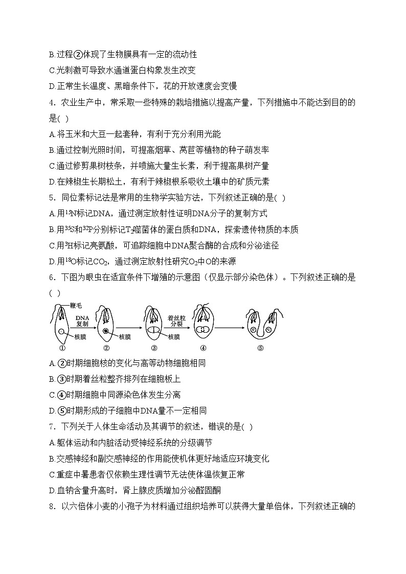 江苏省海门中学2025届高三上学期第一次调研考试生物试卷(含答案)第2页