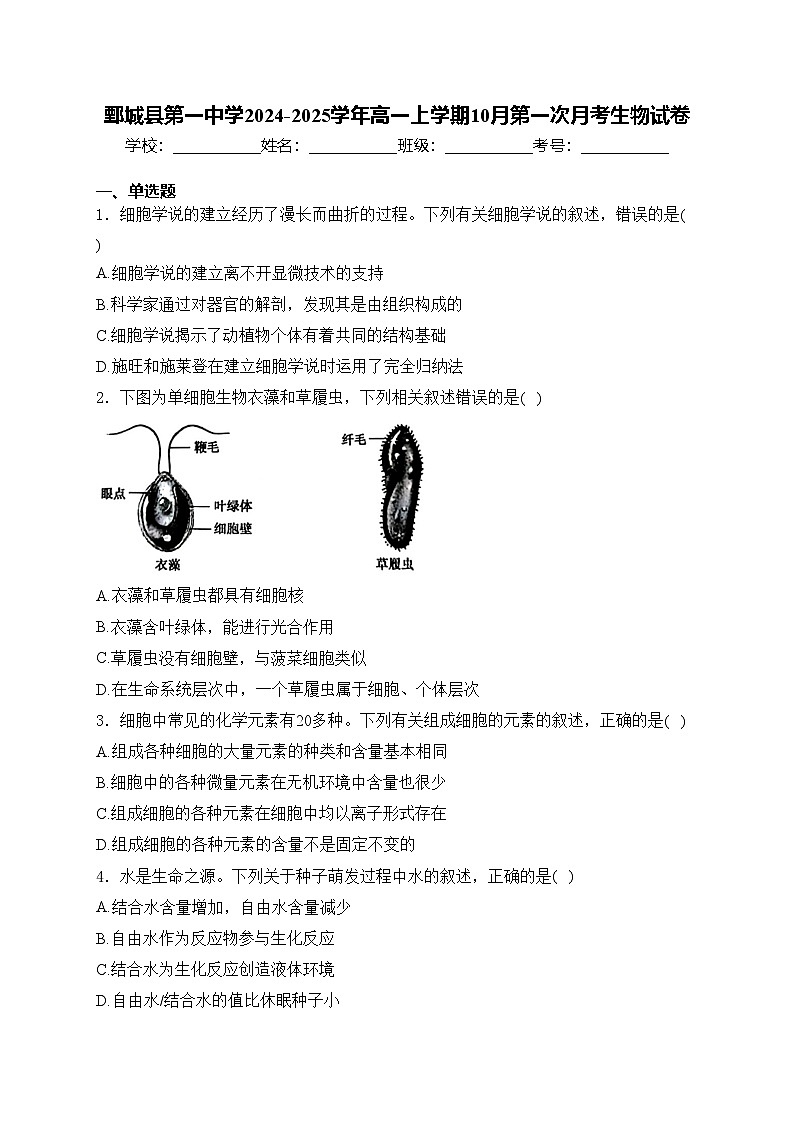 鄄城县第一中学2024-2025学年高一上学期10月第一次月考生物试卷(含答案)第1页
