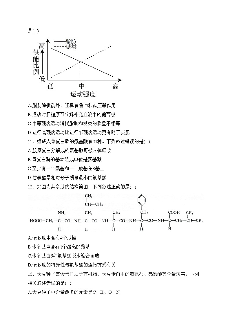 鄄城县第一中学2024-2025学年高一上学期10月第一次月考生物试卷(含答案)第3页
