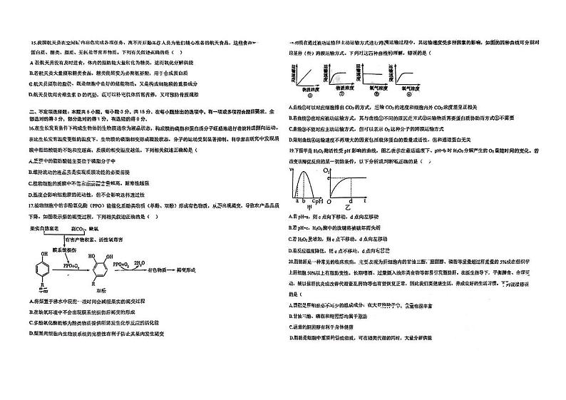 吉林省吉林市亚桥高级中学2024-2025学年高一上学期期中考试生物试题第3页