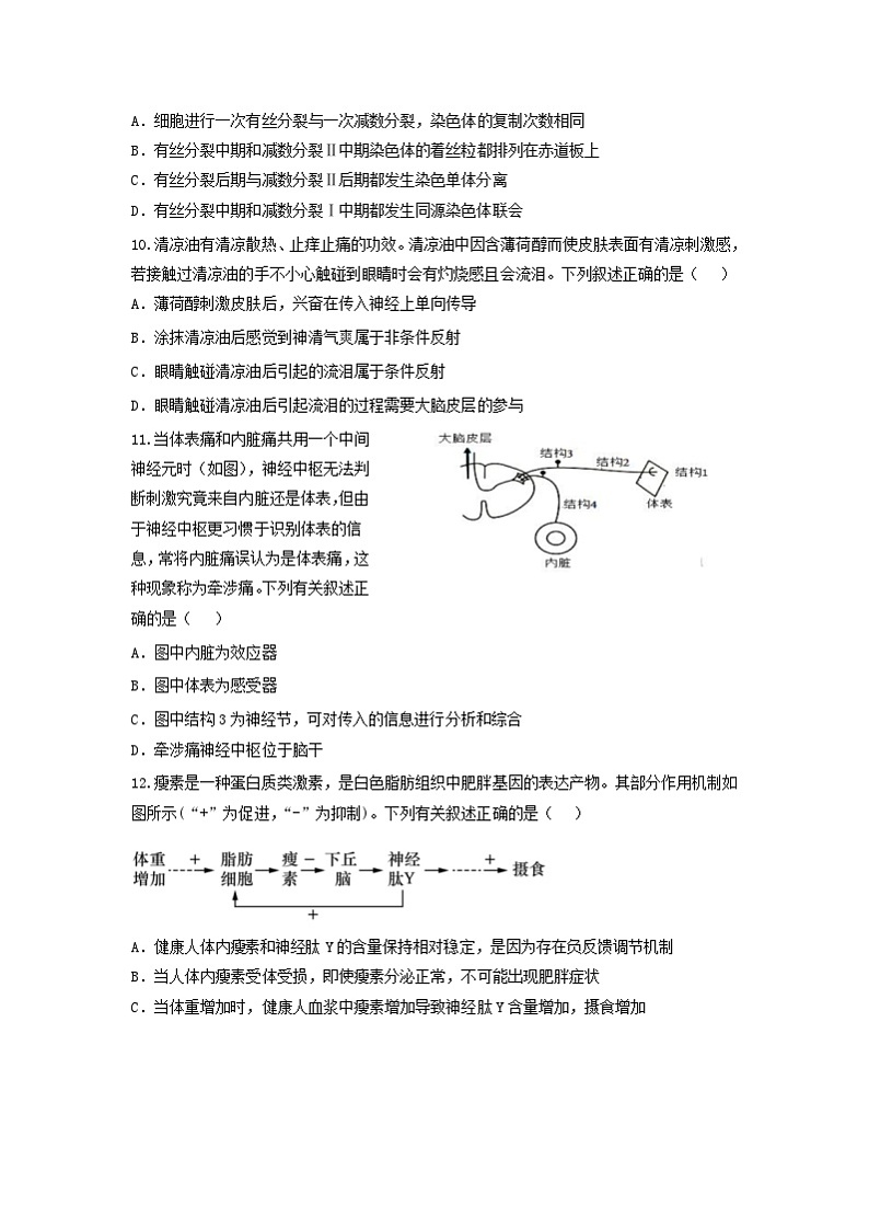 湖北省咸宁市崇阳县崇阳县第一中学2024-2025学年高二上学期10月月考生物试题 第3页