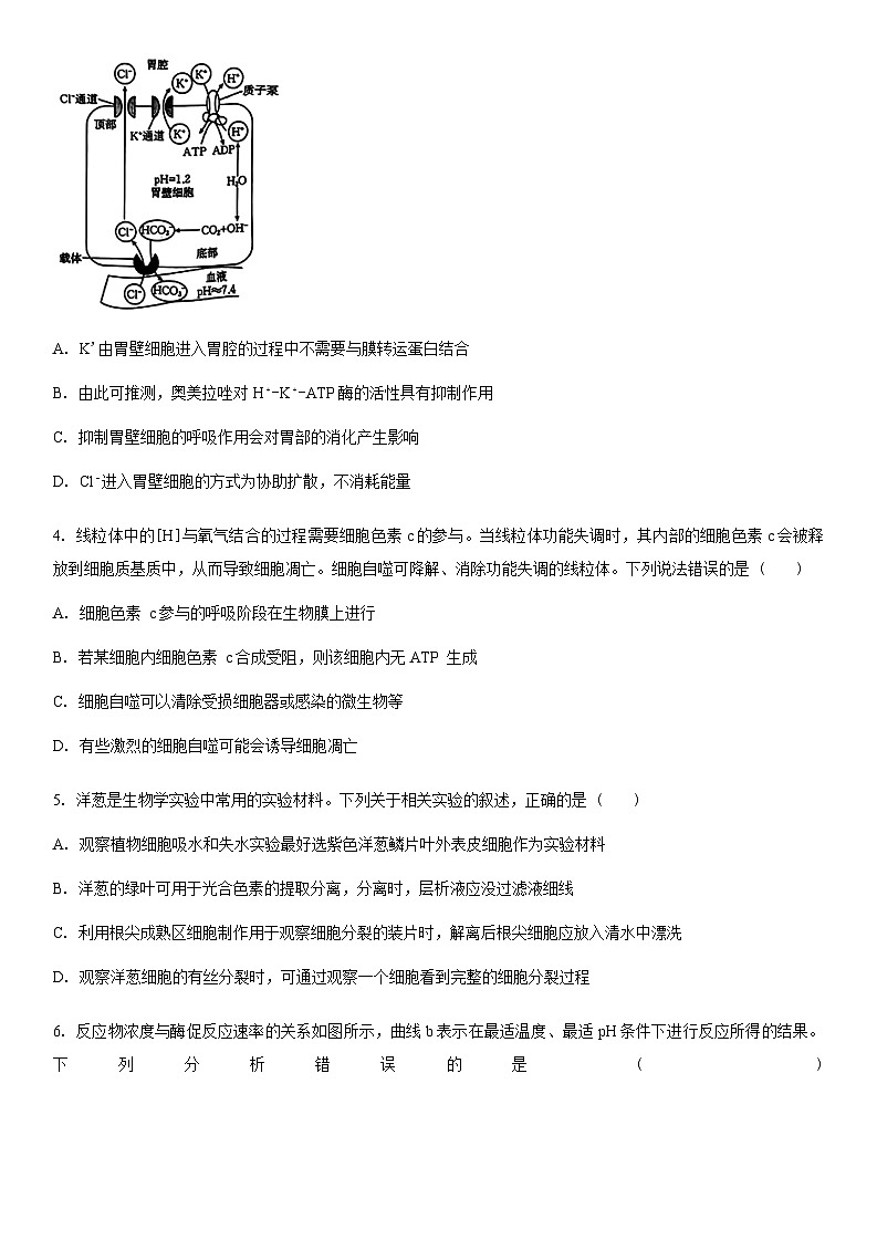 河北金太阳2025届高三10月联考生物试卷含答案第2页