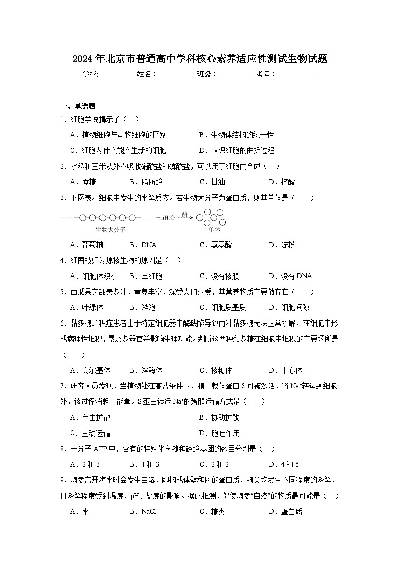 2024年北京市普通高中学科核心素养适应性测试生物试题第1页