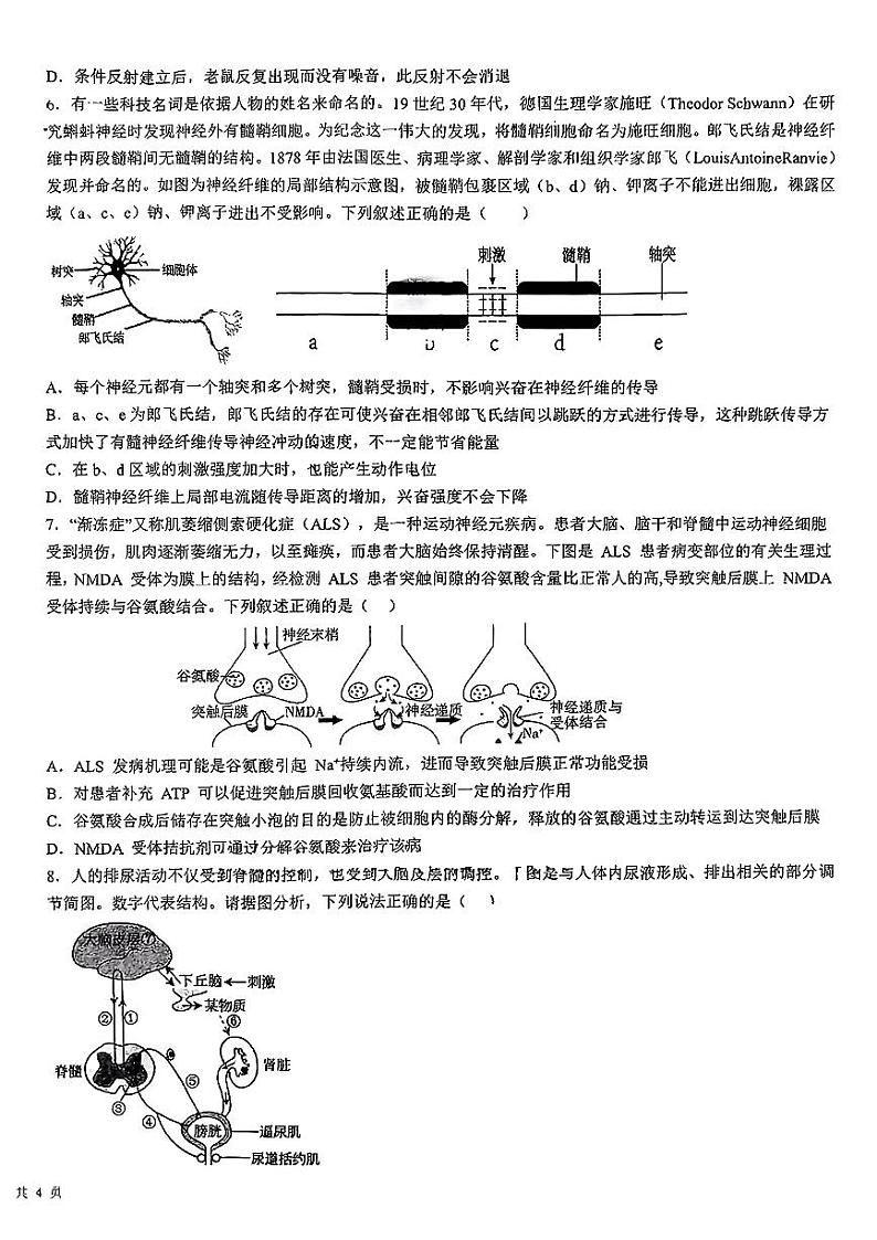 广东省茂名市化州市第一中学2024-2025年高二上学期第一次月考生物试题第2页