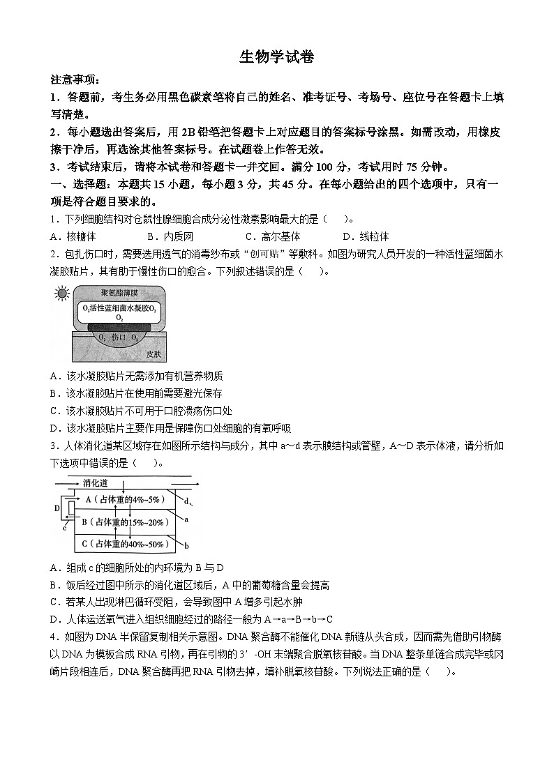 重庆市沙坪坝区重庆市第八中学校2024-2025学年高三上学期10月月考生物试题第1页