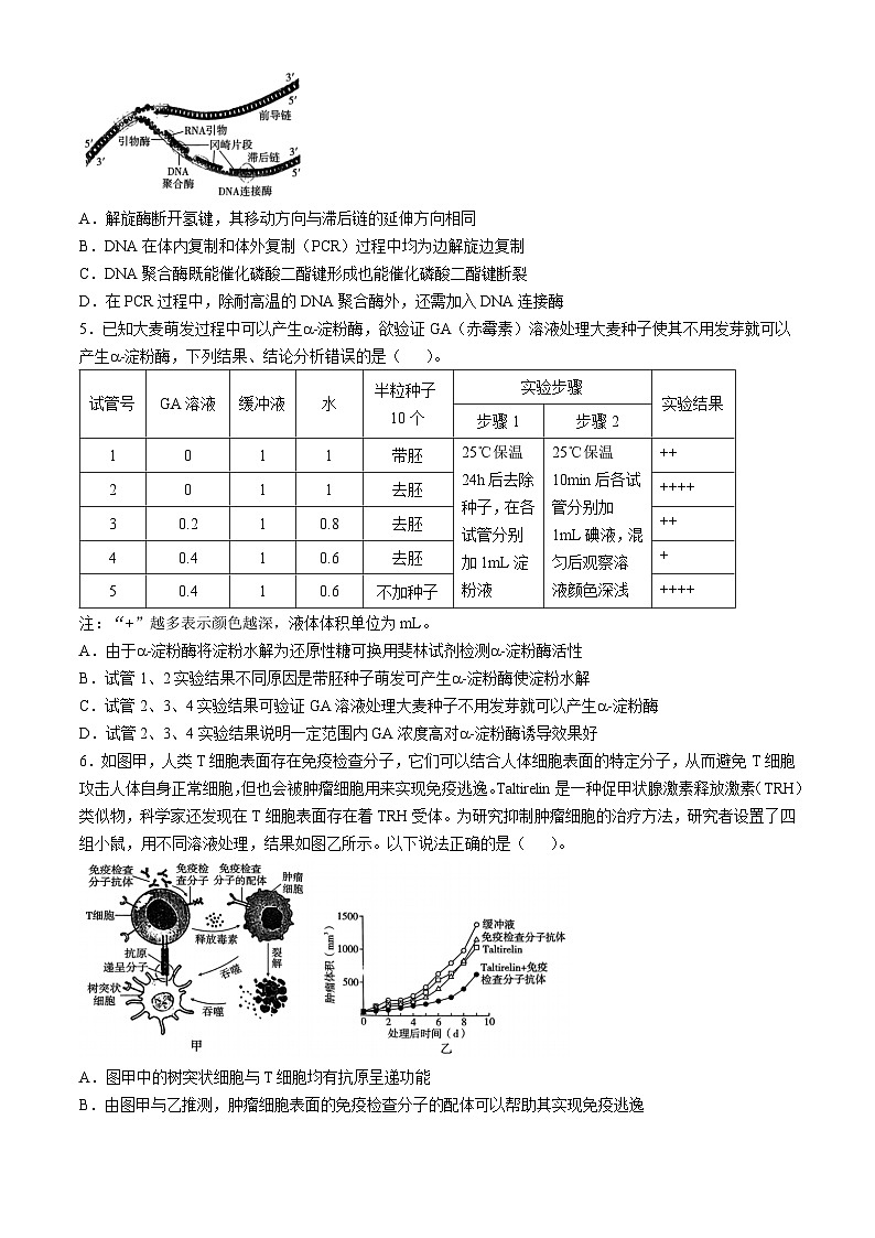 重庆市沙坪坝区重庆市第八中学校2024-2025学年高三上学期10月月考生物试题第2页