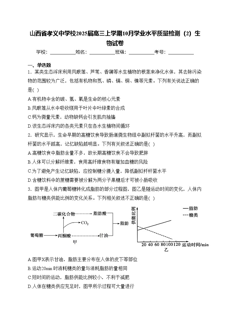 山西省孝义中学校2025届高三上学期10月学业水平质量检测（2）生物试卷(含答案)第1页