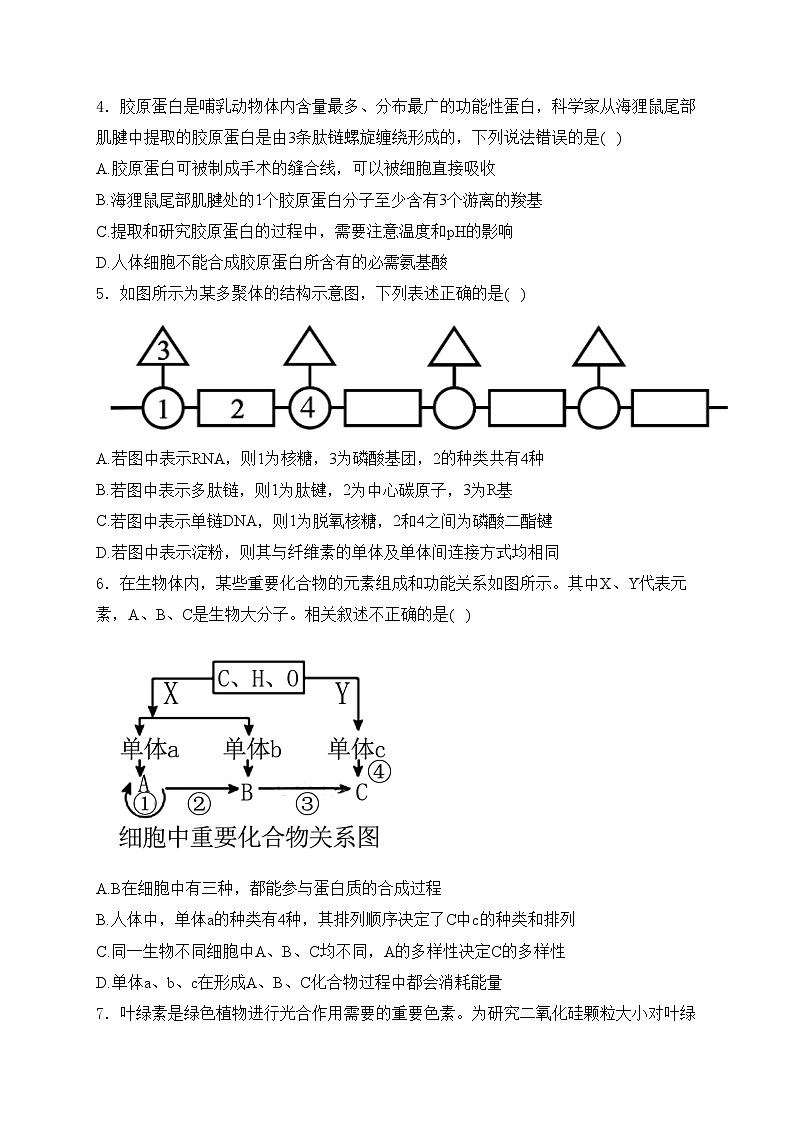 山西省孝义中学校2025届高三上学期10月学业水平质量检测（2）生物试卷(含答案)第2页