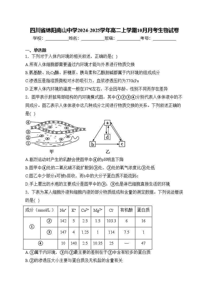 四川省绵阳南山中学2024-2025学年高二上学期10月月考生物试卷(含答案)第1页