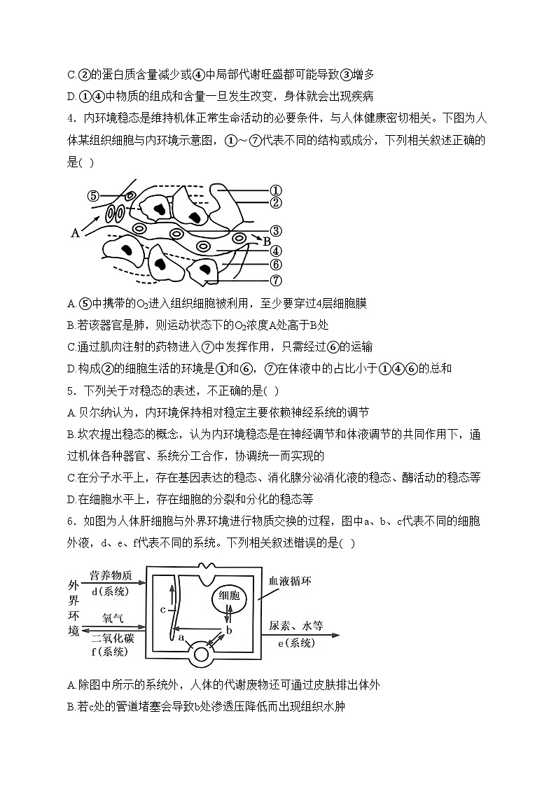 四川省绵阳南山中学2024-2025学年高二上学期10月月考生物试卷(含答案)第2页