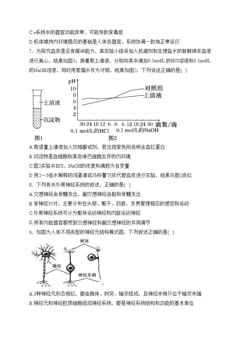 四川省绵阳南山中学2024-2025学年高二上学期10月月考生物试卷(含答案)第3页