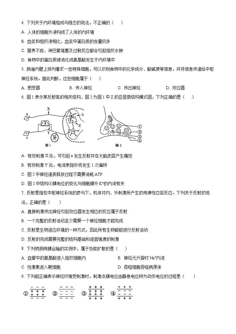 北京市第八中学京西校区2024-2025学年高二上学期10月月考生物练习题试卷（Word版附解析）02