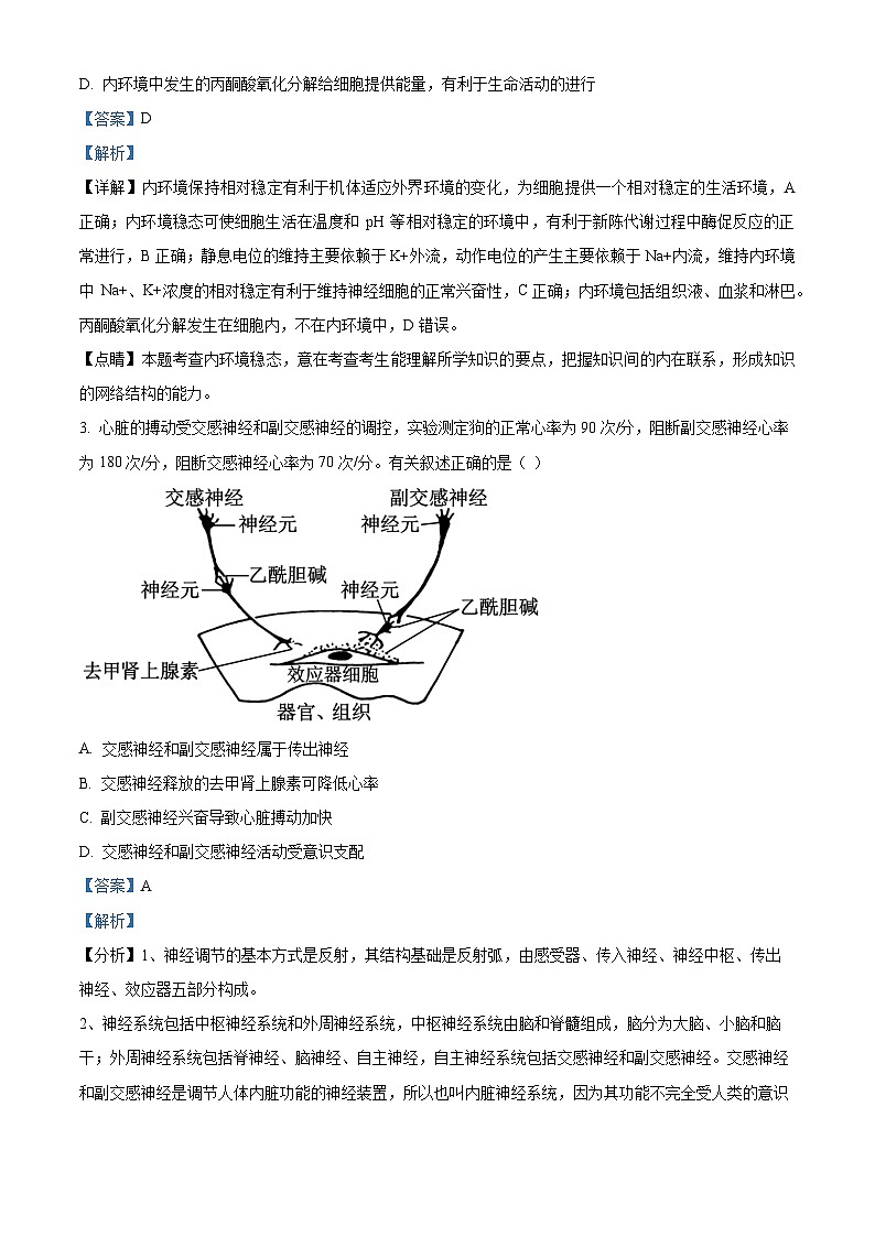 北京市第八中学京西校区2024-2025学年高二上学期10月月考生物练习题试卷（Word版附解析）02