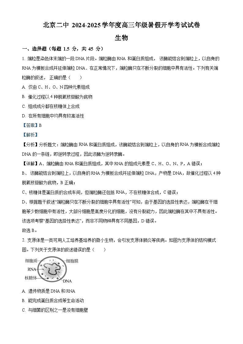北京市第二中学2024-2025学年高三上学期开学考试生物试卷（Word版附解析）01
