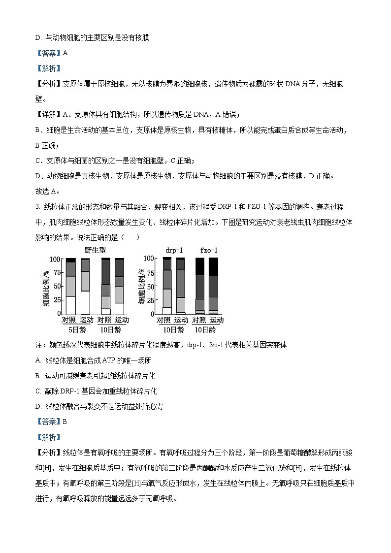 北京市第二中学2024-2025学年高三上学期开学考试生物试卷（Word版附解析）02