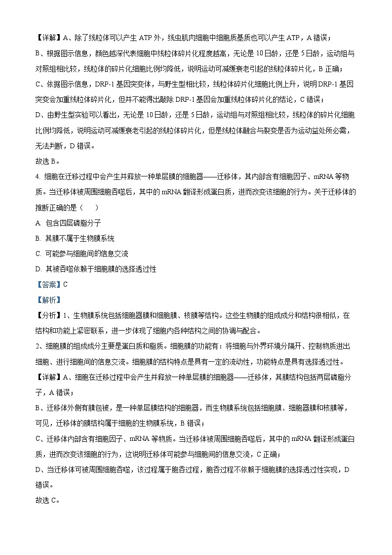 北京市第二中学2024-2025学年高三上学期开学考试生物试卷（Word版附解析）03