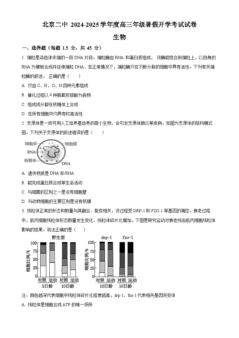 北京市第二中学2024-2025学年高三上学期开学考试生物试卷（Word版附解析）01