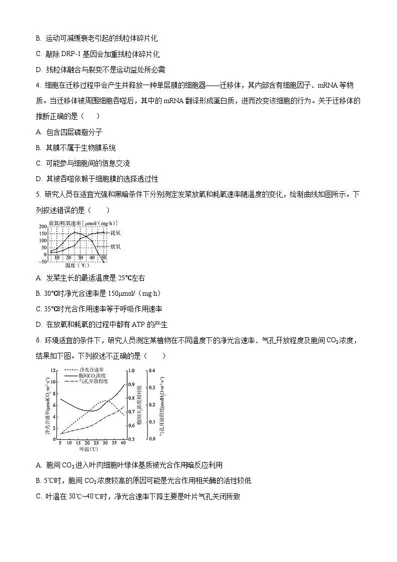 北京市第二中学2024-2025学年高三上学期开学考试生物试卷（Word版附解析）02