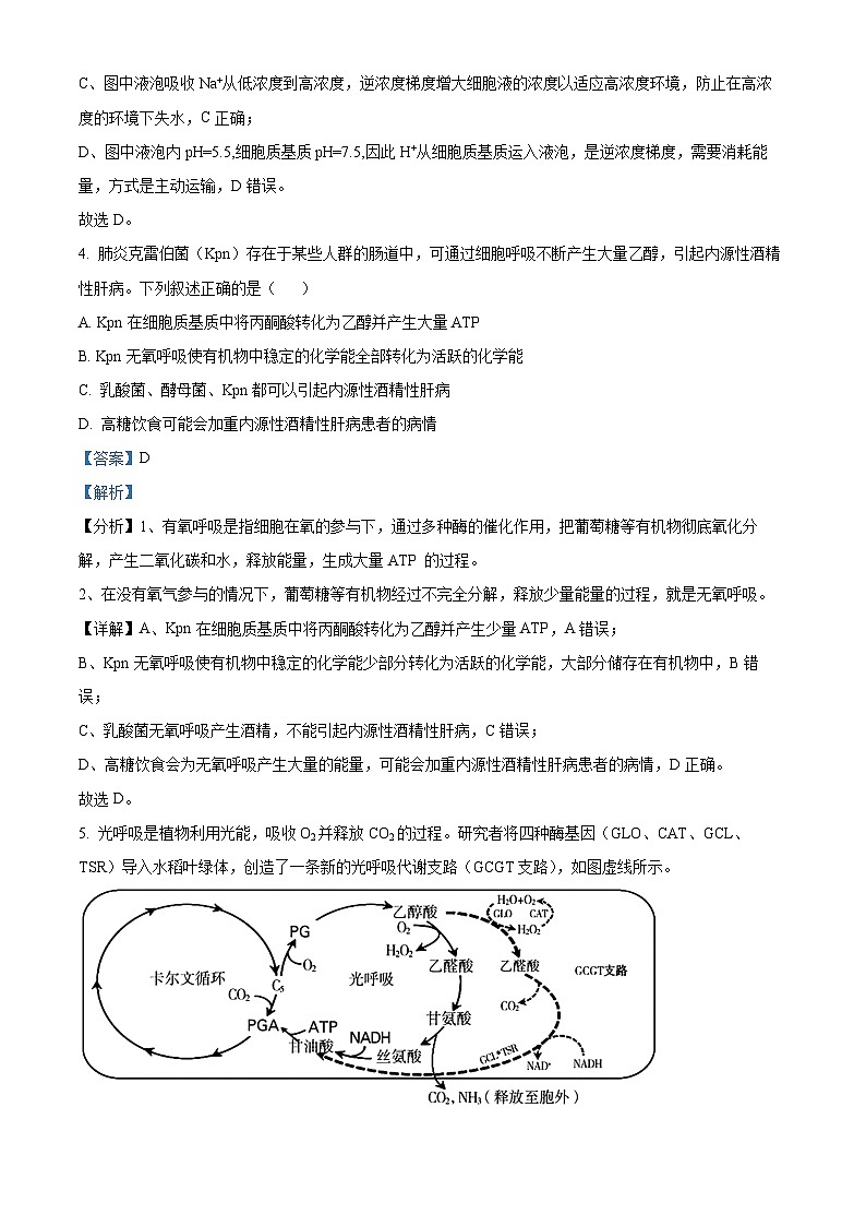 北京市第五十五中学2024—2025学年高三上学期10月考试生物试题 Word版含解析第3页