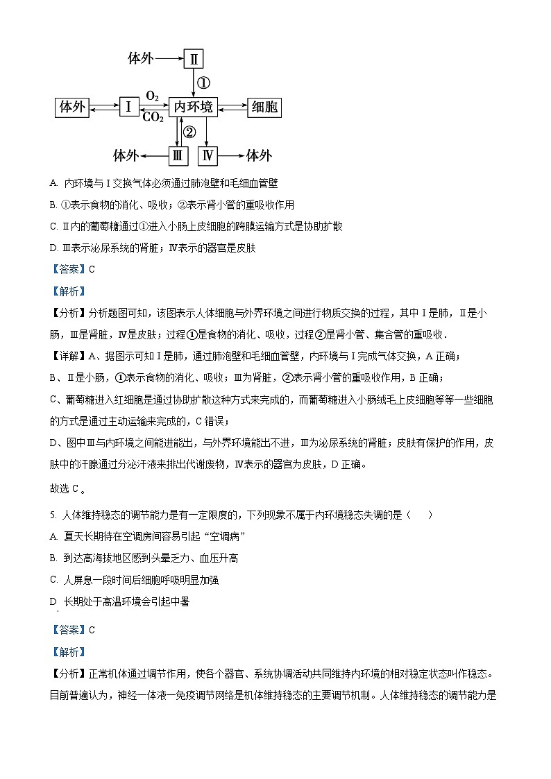 北京市清华大学附属中学朝阳学校2024-2025学年高二上学期第一学期10月月考生物试卷 Word版含解析第3页