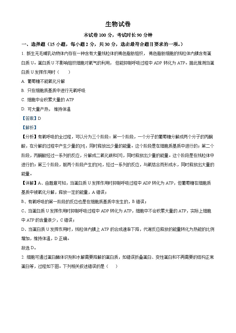 北京市延庆区第一中学2024-2025学年高三上学期10月考试生物试题 Word版含解析第1页