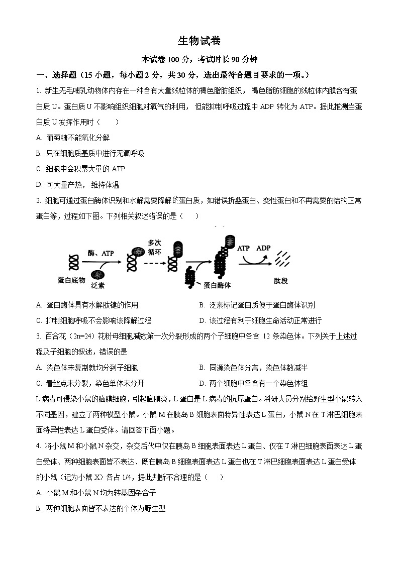 北京市延庆区第一中学2024-2025学年高三上学期10月考试生物试题 Word版无答案第1页