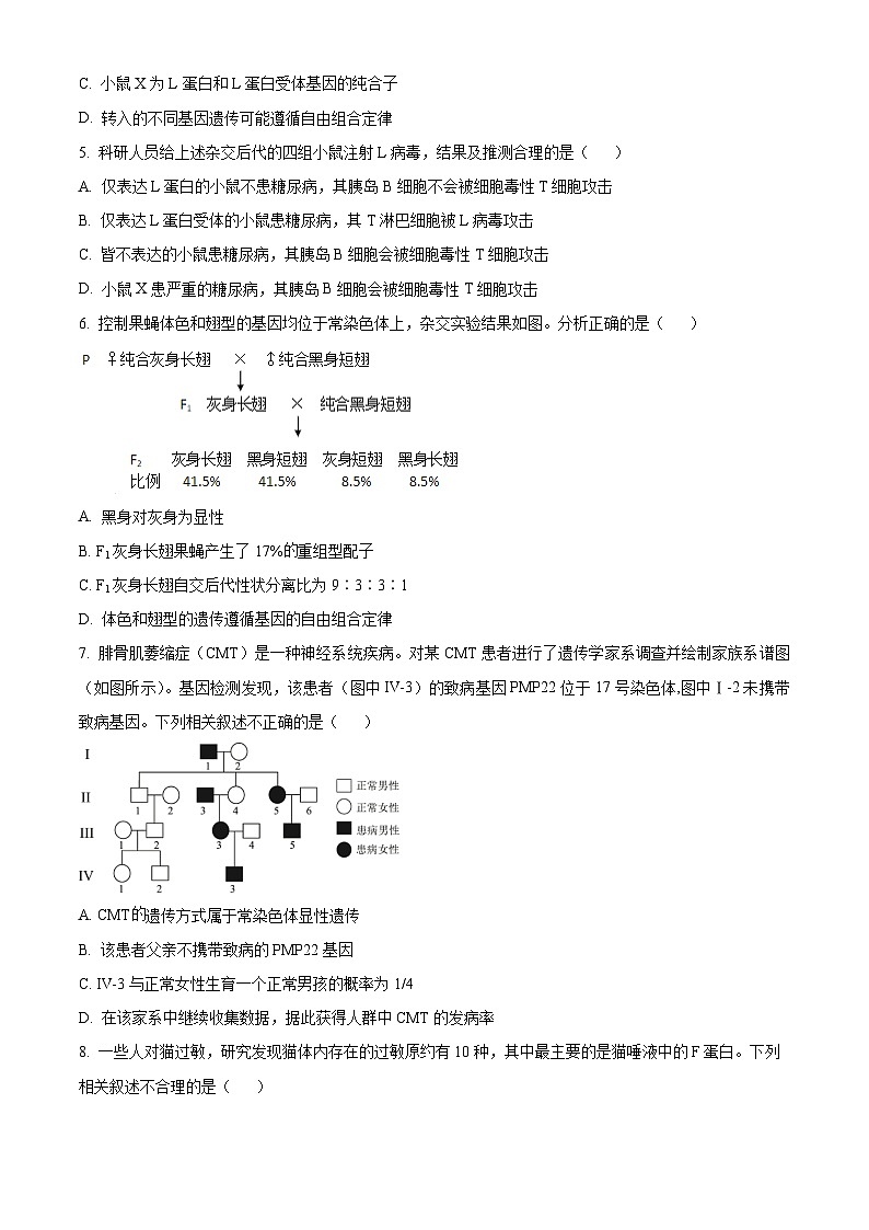 北京市延庆区第一中学2024-2025学年高三上学期10月考试生物试题 Word版无答案第2页